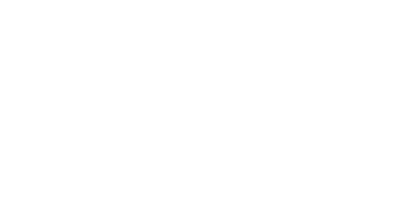 Qmatic Partner